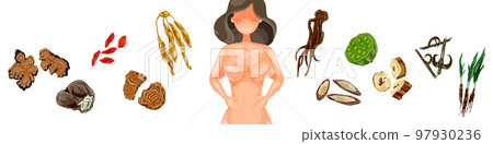 對女性煩惱有用的草藥手繪水彩插畫 對女性煩惱有用的草藥手繪水彩插畫 97930236