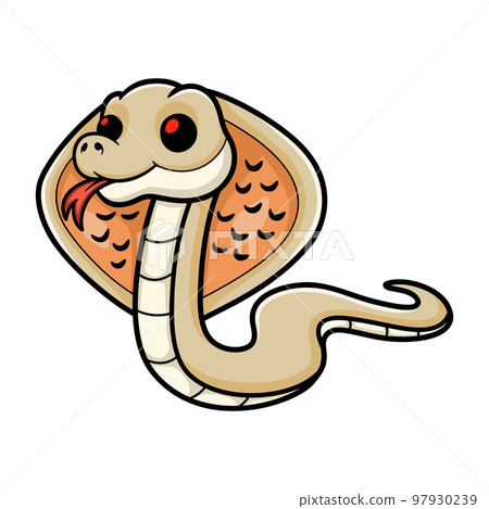 Cute albino monocled cobra cartoon Cute albino monocled cobra cartoon 97930239