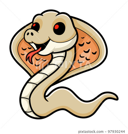 Cute albino monocled cobra cartoon Cute albino monocled cobra cartoon 97930244