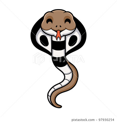 Cute indian king cobra cartoon Cute indian king cobra cartoon 97930254