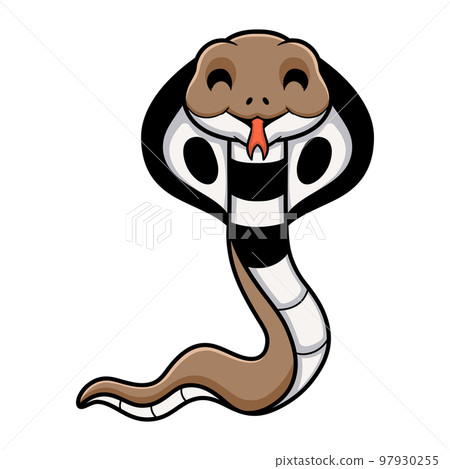 Cute indian king cobra cartoon Cute indian king cobra cartoon 97930255