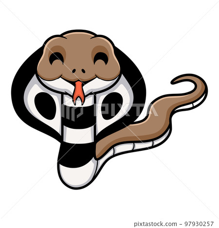 Cute indian king cobra cartoon Cute indian king cobra cartoon 97930257