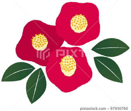 三朵山茶花手寫風格插畫 97930760