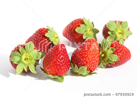 草莓（幸香） 97930929
