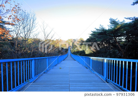 栃木縣宇都宮市冒險橋/八幡山公園 97931306