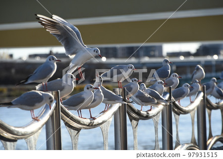 在水邊休息 97931515