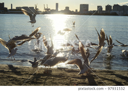 Dancing in the sunset Dancing in the sunset 97931532