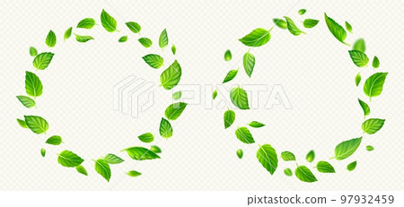 Set of green tea or mint leaves circle frames 97932459