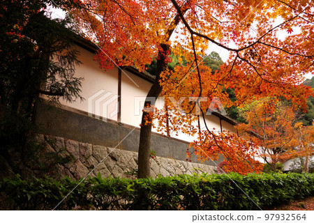 南禪寺最勝院高德館秋葉 南禪寺最勝院高德館秋葉 97932564