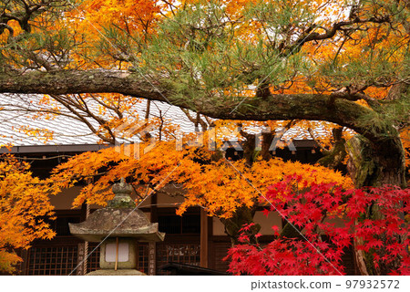 南禪寺最勝院高德館秋葉 南禪寺最勝院高德館秋葉 97932572