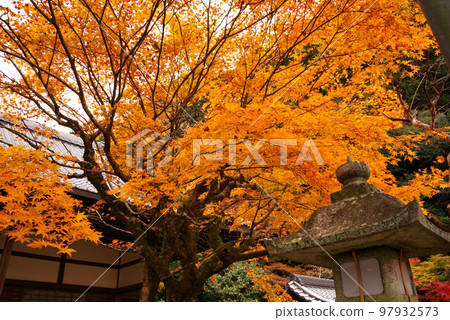 南禪寺最勝院高德館秋葉 南禪寺最勝院高德館秋葉 97932573