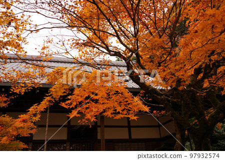 南禪寺最勝院高德館秋葉 南禪寺最勝院高德館秋葉 97932574