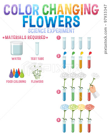 Color changing flowers science experiment 97933347