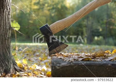 Hatchet or ax standing upright in a tree stump 97933622