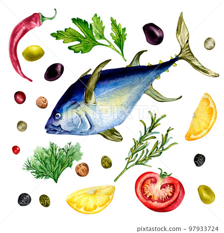 Set of tuna and herbs watercolor illustration isolated on white. 97933724