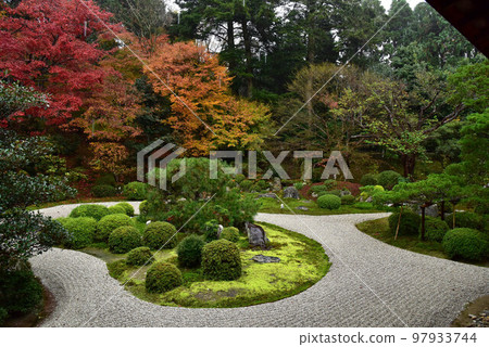 Autumn leaves of Manshuin garden 97933744
