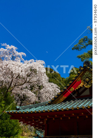 靜岡縣靜岡市清水區草薙日本平東照宮的風景 靜岡縣靜岡市清水區草薙日本平東照宮的風景 97934640