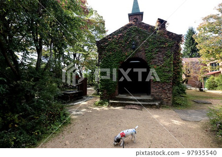 A dog A dog 97935540