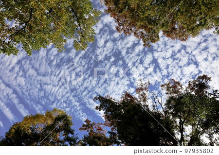 武山美術館 97935802