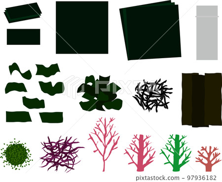 紫菜P 紫菜P 97936182