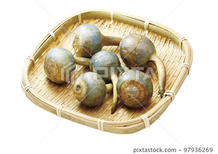 快手005（帶通行證） 97936269