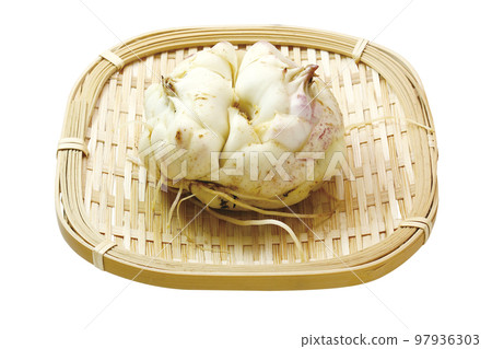 Yurine 04（有通行證） 97936303