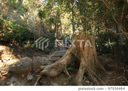 筑波山風景 禦幸原路線 97936464