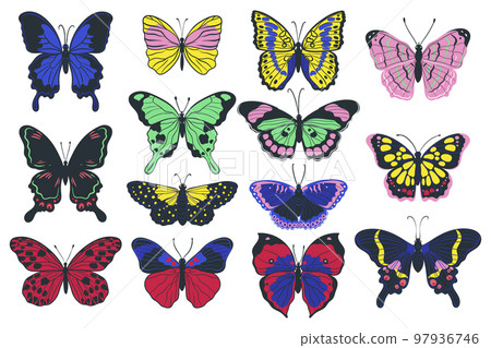 Set of colorful butterflies isolated on white background. Vector graphics. 97936746