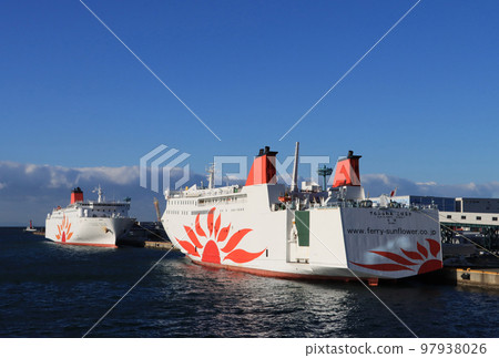 大阪南光向日葵鈷 97938026