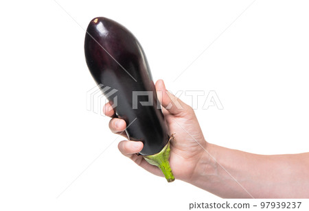 eggplant vegetable in hand isolated on white background eggplant vegetable in hand isolated on white background 97939237