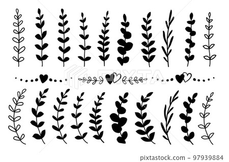 decorative eucalyptus olive branches, leaves, flower silhouette 97939884