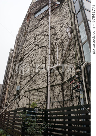 Ivy entwined in the building Ivy entwined in the building 97941772