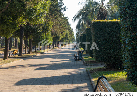 Park with palm trees and other trees on the embankment of Batumi 97941795