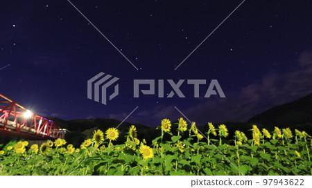 Sunflower field Sunflower field 97943622