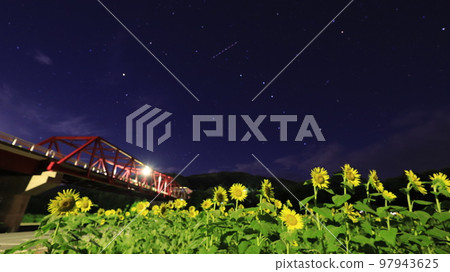 向日葵田 97943625