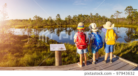 Children standing on the boardwalk on bog and looking on the lake. Children standing on the boardwalk on bog and looking on the lake. 97943632