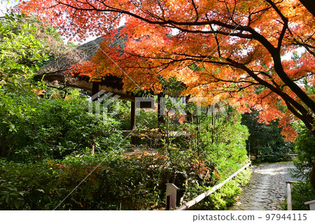 Thatched roof bell tower on the approach to Koetsuji Temple in Kyoto City with autumn leaves 97944115