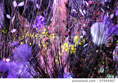Colorful flowers Colorful flowers 97944467