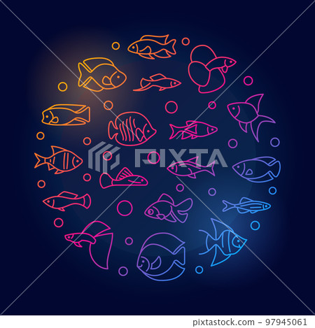 Aquarium fish vector round colored illustration in line style Aquarium fish vector round colored illustration in line style 97945061