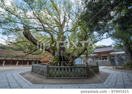 Oyamisami Shrine Oyamisami Shrine 97945915