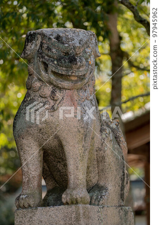 Oyamisami神社 Oyamisami神社 97945962
