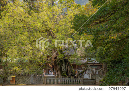 Oyamisami Shrine 97945997