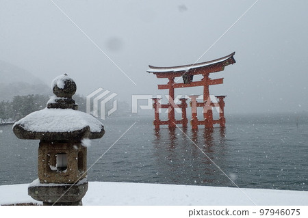 Otorii of Itsukushima Shrine 冬季風景 97946075