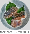 delicious mackerel sashimi 97947011