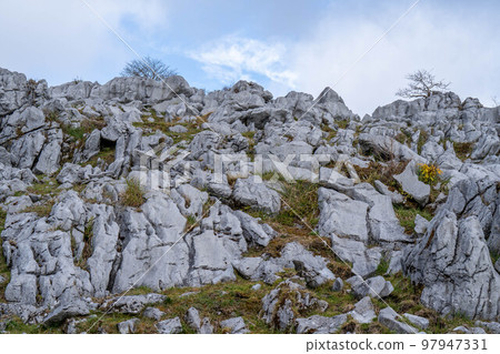 四國喀斯特 97947331