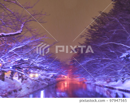 Hirosaki Park Winter Cherry Blossom Illumination Hirosaki Park Winter Cherry Blossom Illumination 97947565