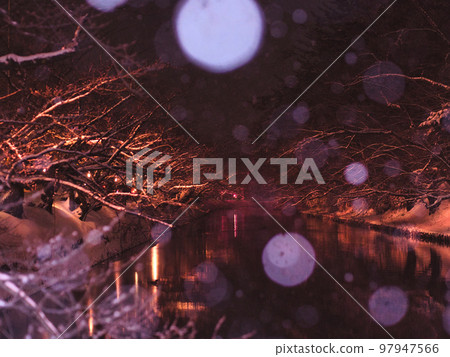 Hirosaki Park Winter Cherry Blossom Illumination Hirosaki Park Winter Cherry Blossom Illumination 97947566