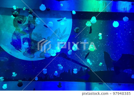 blue jellyfish 97948385