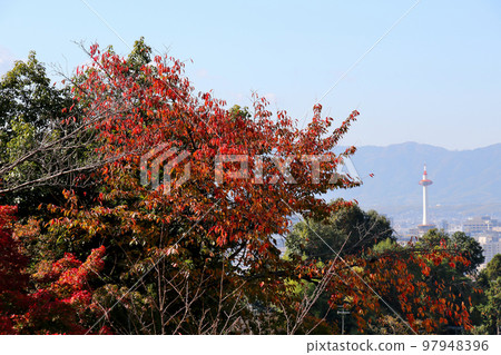 View of Kyoto Tower through autumn leaves from Kiyomizu-dera, Kyoto 97948396