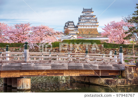 Himeji, Japan at Himeji Castle during Spring Cherry Blossom Season Himeji, Japan at Himeji Castle during Spring Cherry Blossom Season 97948767
